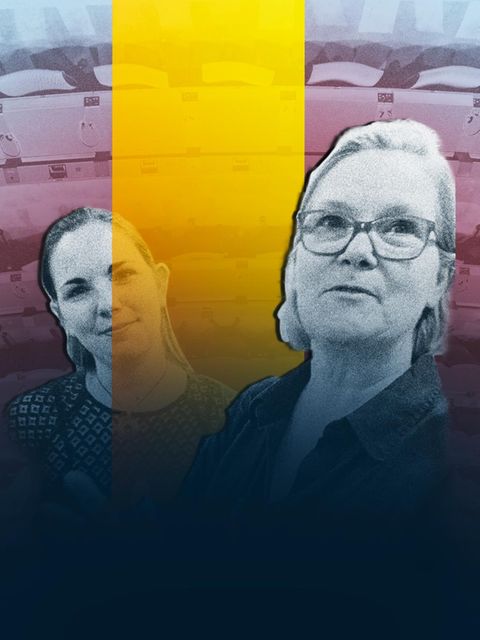 AfD -Abgeordnete Boßdorf mit rechtsextremen Verbindungen