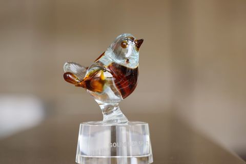 Für das Festival Goldener Spatz 2026 kann man sich ab jetzt bewerben. (Archivbild) Foto: Bodo Schackow/dpa