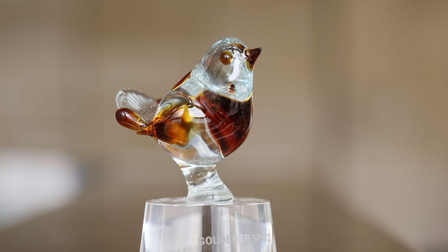 Wettbewerb: "Goldener Spatz": Ausschreibung für Wettbewerbe 2026 startet