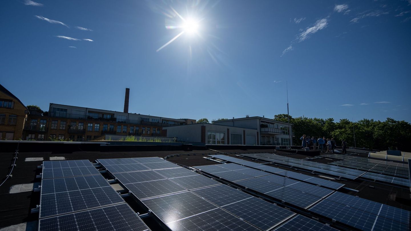 Klimapolitik: Landeseigene Unternehmen investieren in Klimaschutz