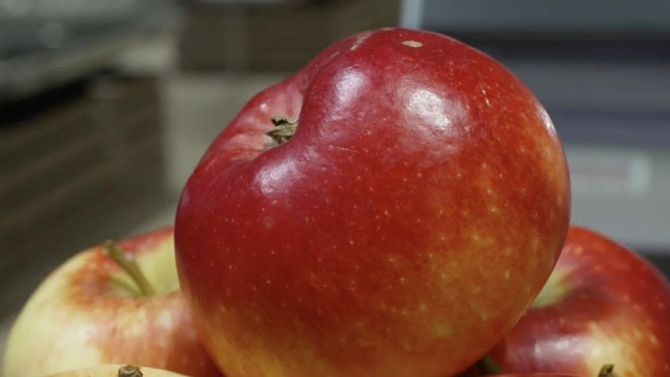 Ein knackiger roter Apfel – der keine Beschwerden auslöst bei Apfel-Allergikern.