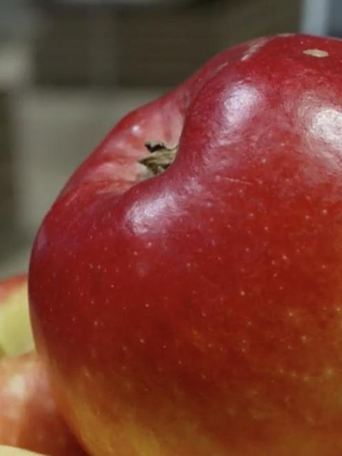 Ein knackiger roter Apfel – der keine Beschwerden auslöst bei Apfel-Allergikern.
