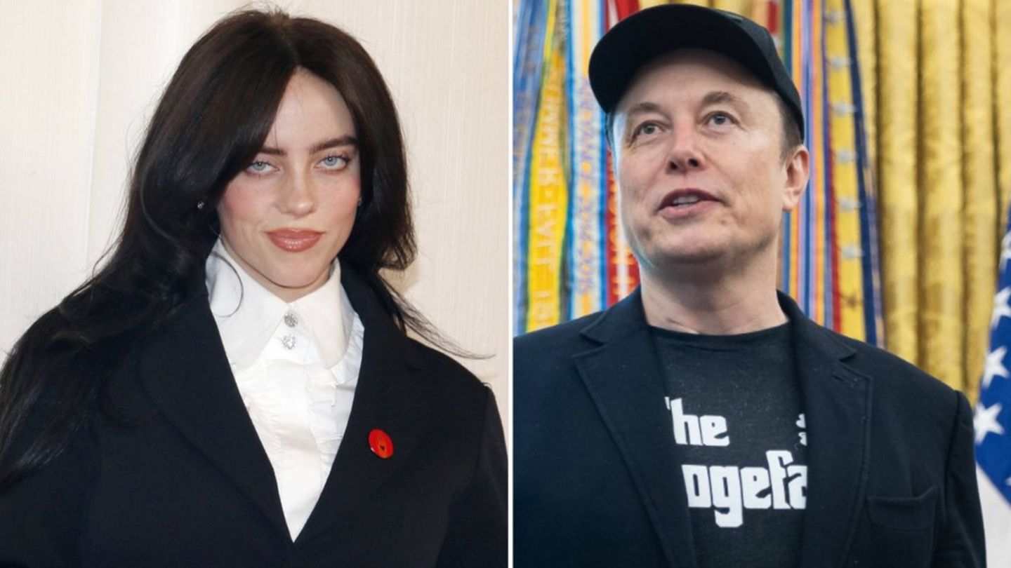 Zwischen Billie Eilish und Elon Musk gibt es böses Blut.