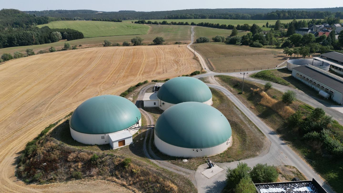 In Thüringen gibt es laut Bauernverband derzeit rund 250 Biogasanlagen. (Archivbild) Foto: Bodo Schackow/dpa