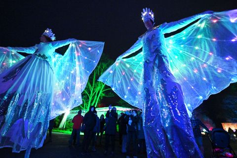 Das Winterleuchten hat im Erfurter egapark schon Tradition. Auch in dieser Saison wird es wieder ein Leucht-Spektakel geben. (Ar