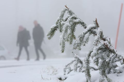 In den Mittelgebirgen wie dem Harz wird am Mittwoch Neuschnee erwartet. Foto: Matthias Bein/dpa