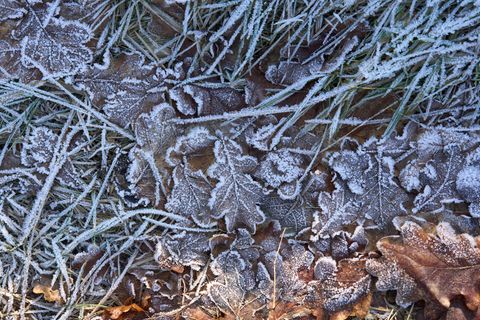Verbreitet ist in den Nächten mit Frost zu rechnen. (Symbolbild) Foto: Thomas Frey/dpa