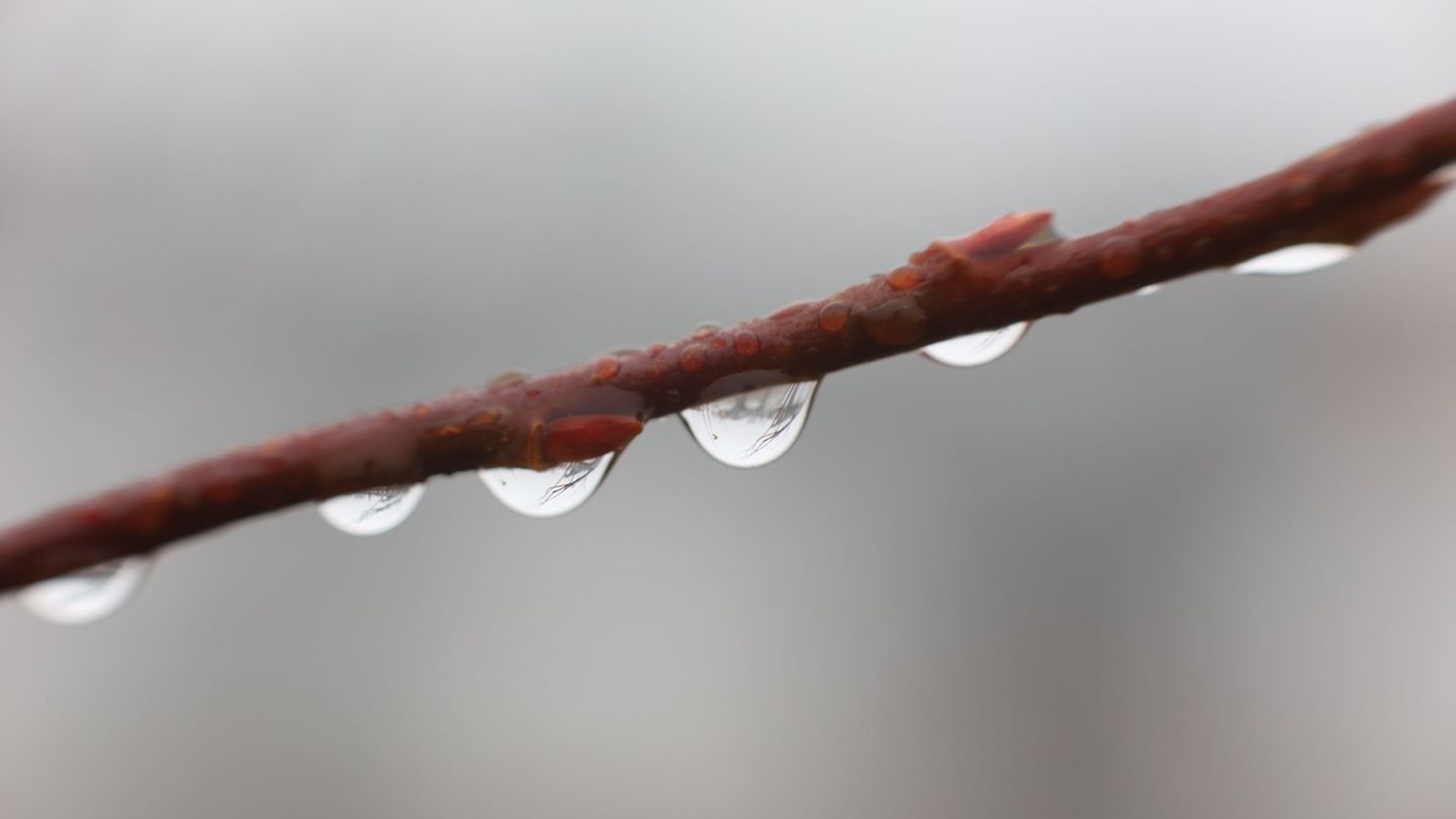Wetter: Winterwetter: Schnee und Frost in Niedersachsen