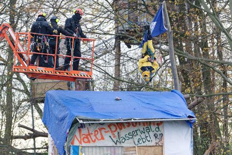 Mit einer Hebebühne nähern sich Polizisten einem Aktivisten, der kopfüber in einem Baum hängt. (Archivbild) Foto: Henning Kaiser