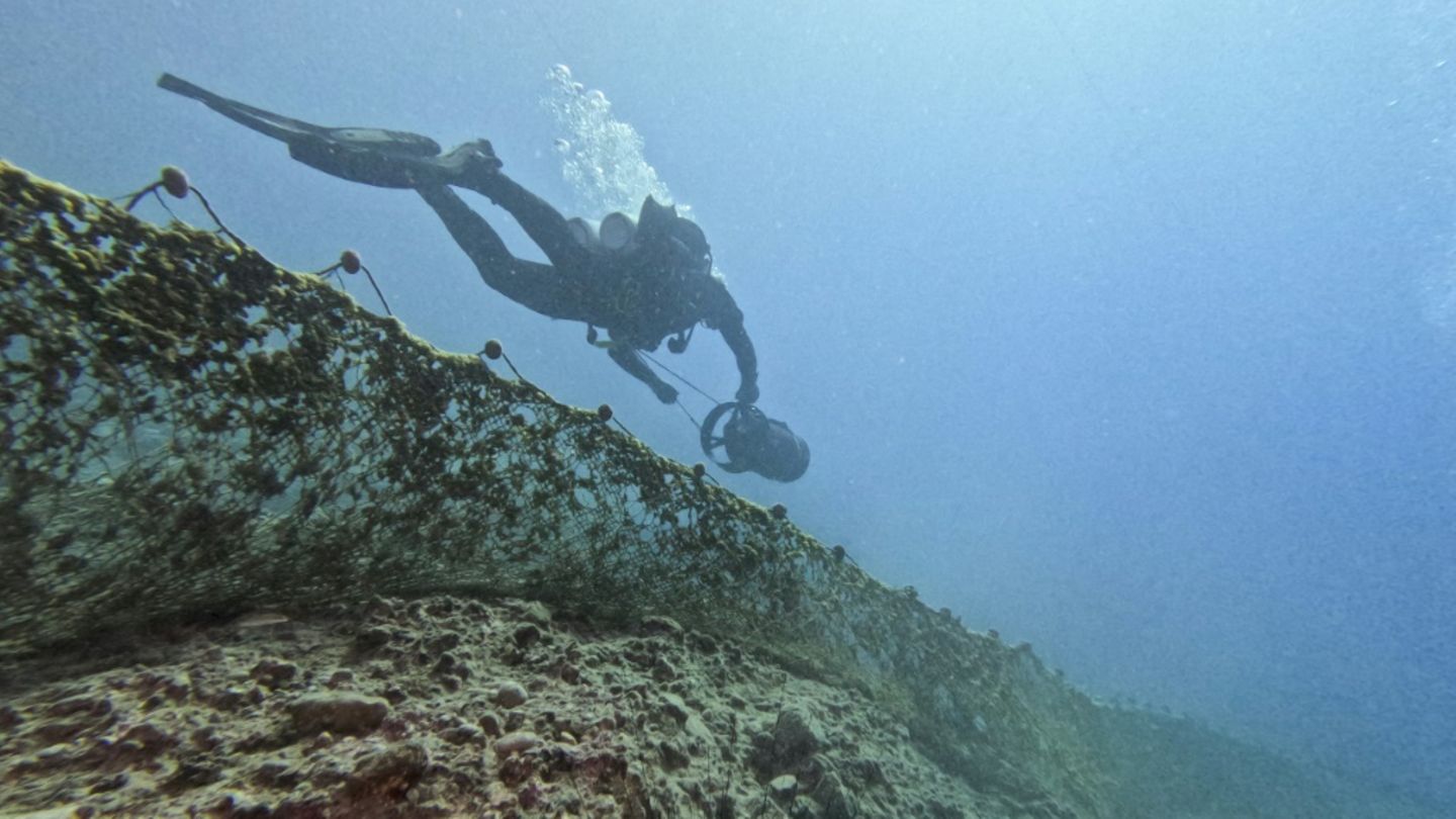 Aktiver Umweltschutz