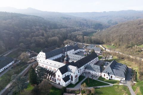 Im Kloster Eberbach im Rheingau wollen die für Weinbau zuständigen Minister aus den Bundesländern zusammenkommen. (Archivbild) F