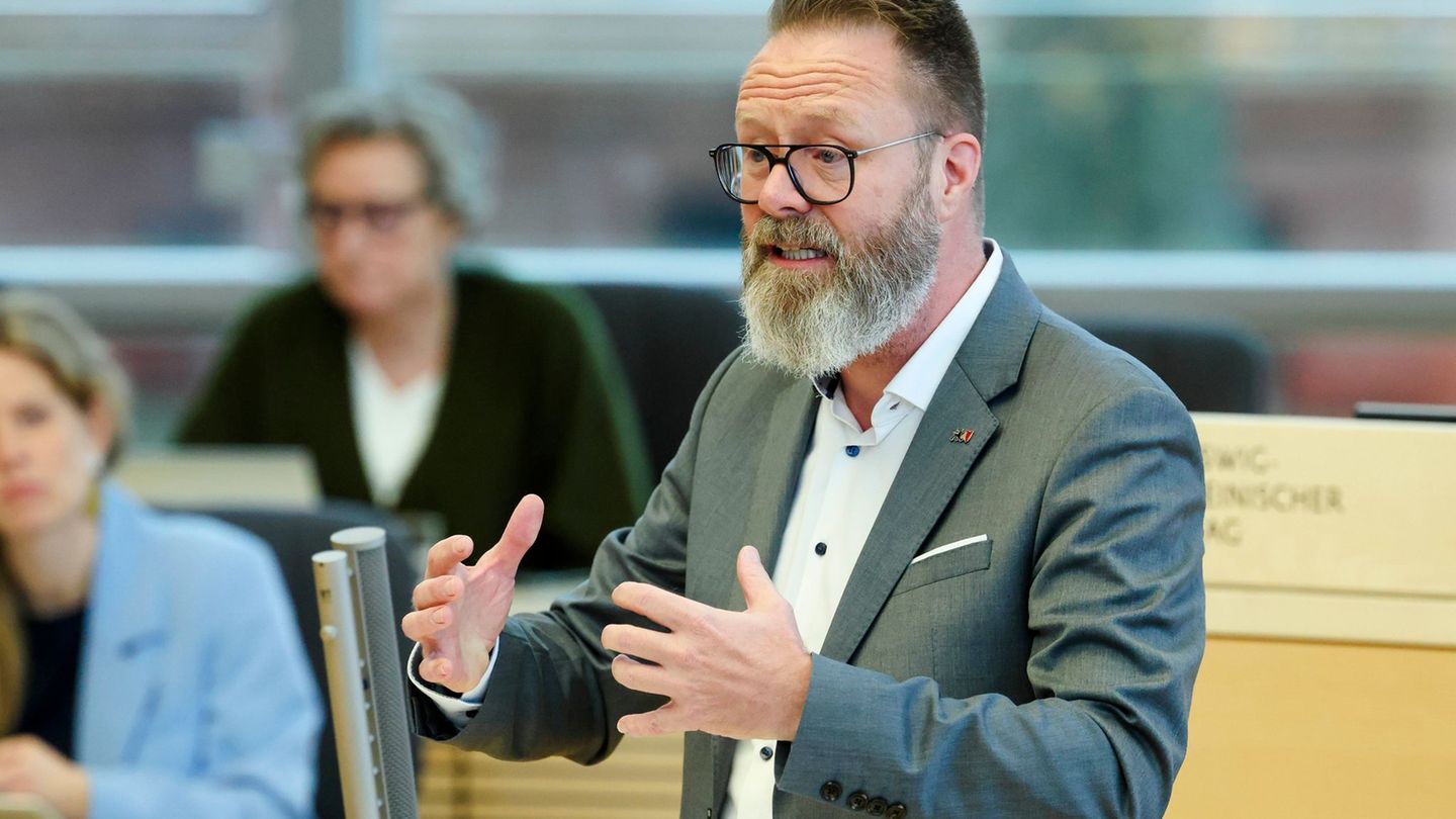 Verkehrsminister Claus Ruhe Madsen (CDU) ist ein Fan der Fledermaus. Foto: Frank Molter/dpa