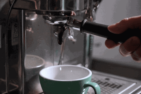 Siebträgermaschine Test: Espresso läuft aus dem Siebträger in die Tasse
