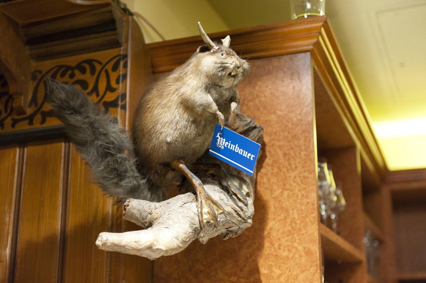 Fabelwesen Wolpertinger in einer Gastwirtschaft