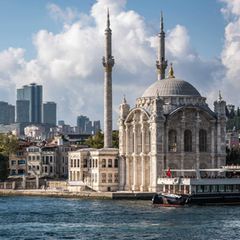 Tod durch Pestizid: Ansicht der Stadt Istanbul