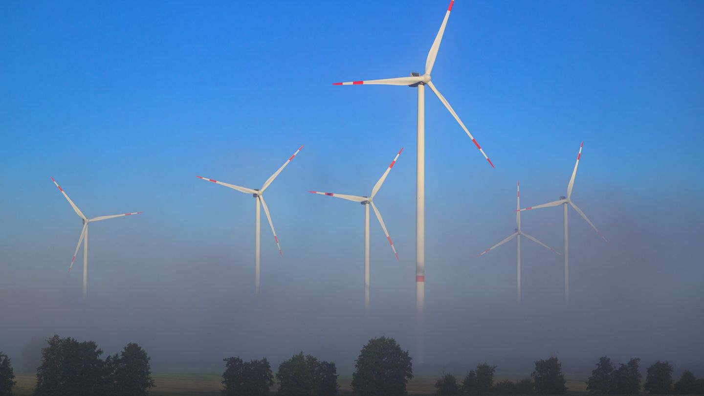 Der Landtag will mit einem neuen Gesetz die Akzeptanz in den Kommunen für Solar- und Windenergie erhöhen. (Symbolbild) Foto: Pat