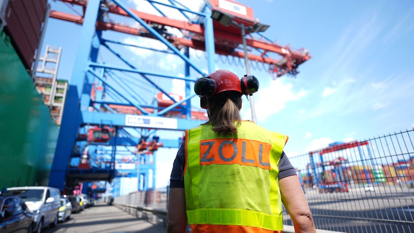 Die Verrechnung der Einfuhrumsatzsteuer belastet Hafenbetriebe. (Archivbild) Foto: Marcus Brandt/dpa