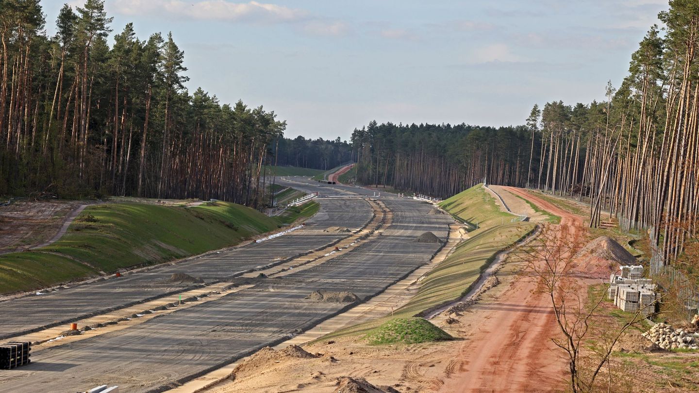 In einem Waldstück bei Gardelegen sollen erneut Bäume gepflanzt werden - als Ausgleich für die Verlängerung der A14. (Archivbild
