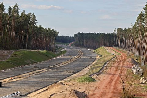In einem Waldstück bei Gardelegen sollen erneut Bäume gepflanzt werden - als Ausgleich für die Verlängerung der A14. (Archivbild