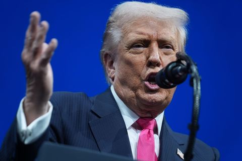 Trump hat das Gesetz zu Epstein unterzeichnet. Foto: Evan Vucci/AP/dpa