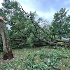 In Mitteldeutschland wurden 2025 mehrere Tornados bestätigt. (Symbolbild) Foto: Andreas Richter/dpa