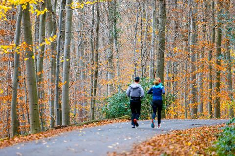 Jogger laufen durch den herbstlich gefärbten Wald in Königswinter. (Archivbild) Foto: Thomas Banneyer/dpa