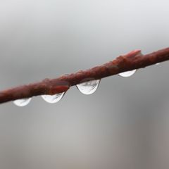 Sonntag kann es sowohl tagsüber als auch in der Nacht zum Montag schneien; im Bergland gibt es Dauerfrost. Foto: Matthias Bein/d