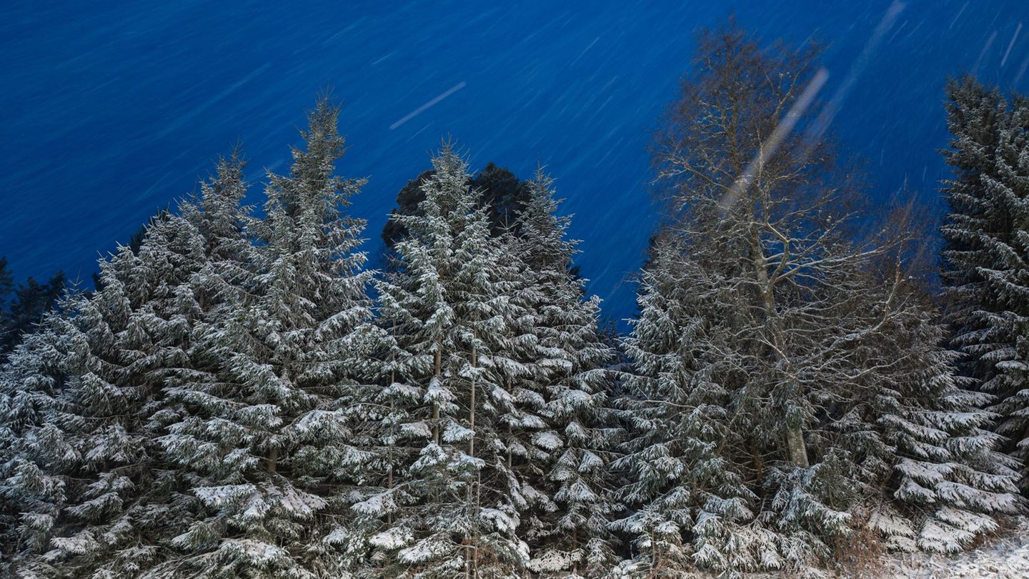 Schneefälle im Südwesten. Foto: Silas Stein/dpa