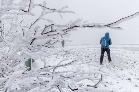 Winter-Wetter: Eingeschneite Landschaft mit weißen Zweigen und einem Wanderer im Hintergrund