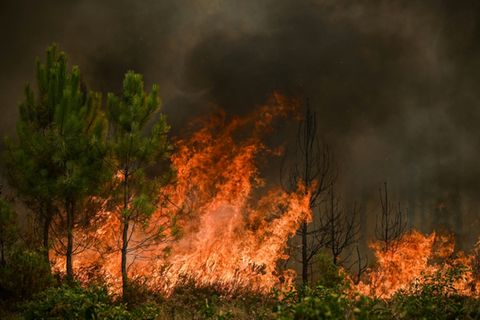 Waldbrand in Frankreich