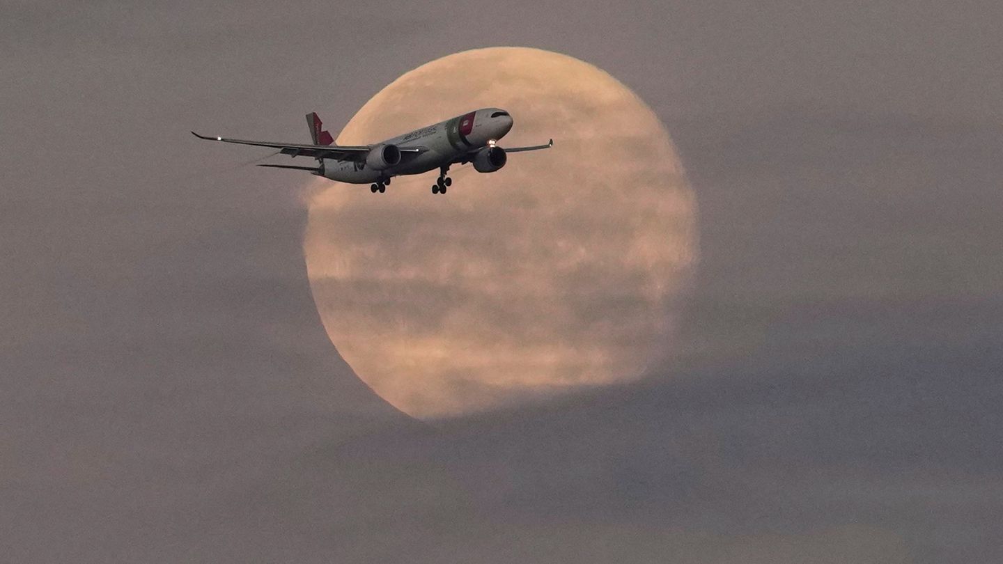 Die Lufthansa will bei der portugiesischen TAP einsteigen. Foto: Armando Franca/AP/dpa