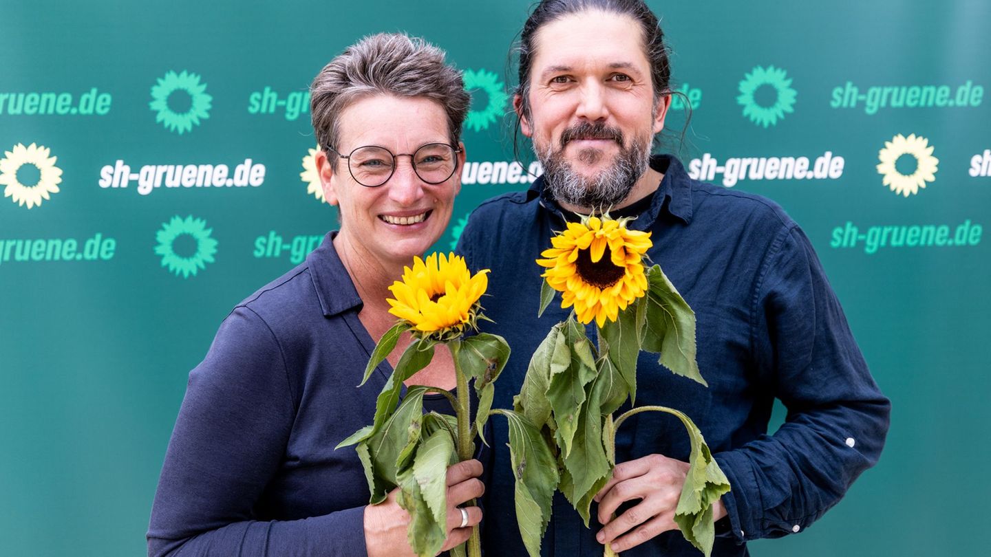 Anke Erdmann kandidiert nicht mehr als Landesvorsitzende in Schleswig-Holstein. (Archivbild) Foto: Axel Heimken/dpa