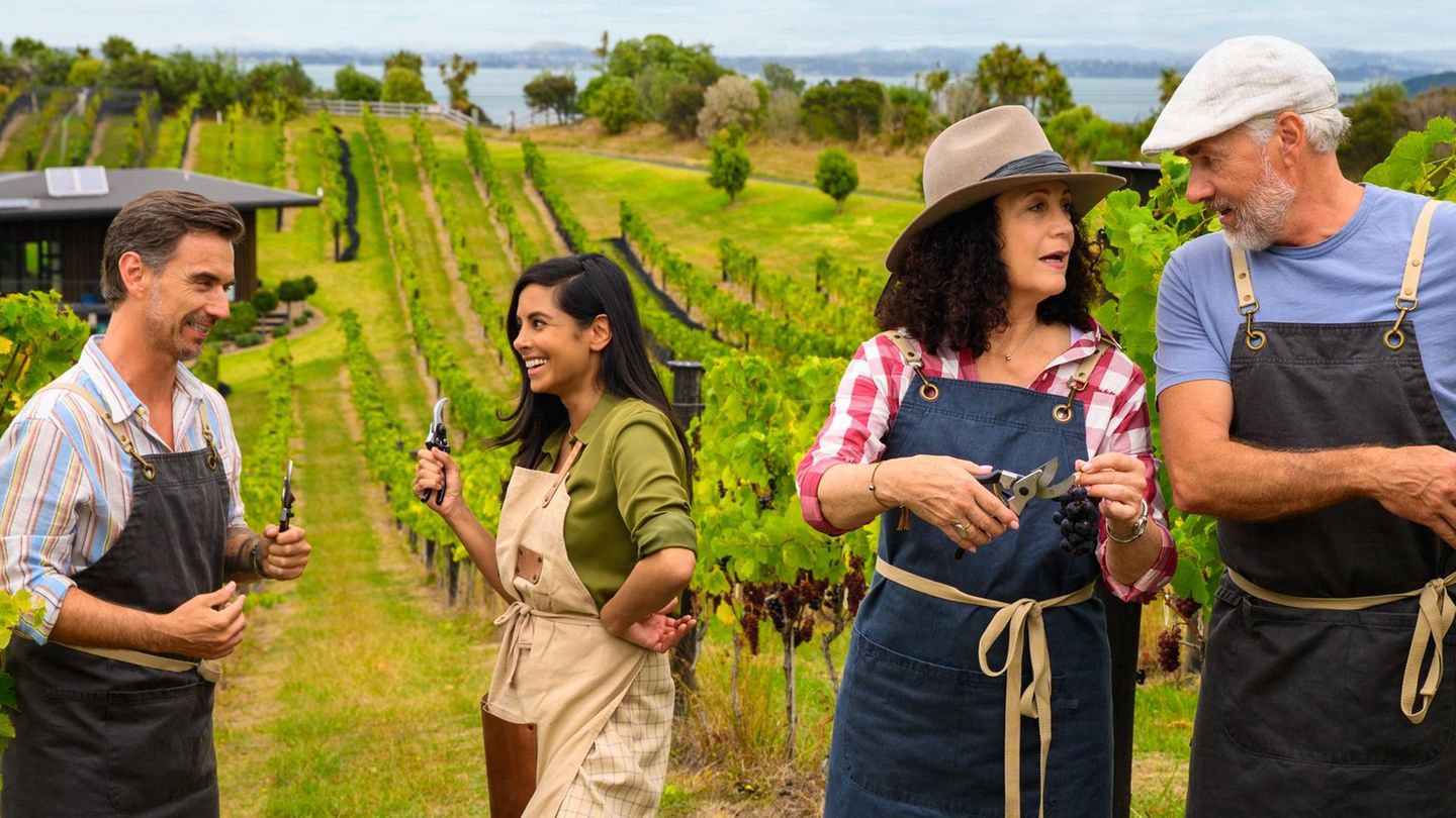 Das Traumschiff legt in Auckland an: Während Max Parger (Florian Silbereisen, l.) und Dr. Jessica Delgado (Collien Ulmen-Fernandes, 2.v.l.) an ihren Aufgaben großen Spaß haben, herrscht zwischen Hanna Liebhold (Barbara Wussow, 2.v.r.) und Martin Grimm (Daniel Morgenroth, r.) eine angespannte Stimmung.