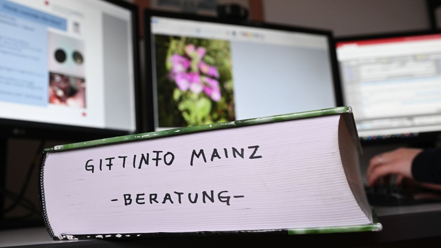 Das Giftinformationszentrum in Mainz ist Ansprechpartner für Menschen in Rheinland-Pfalz, Hessen und dem Saarland. (Archivbild)