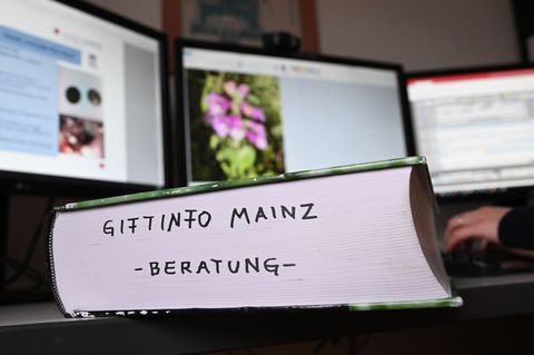 Das Giftinformationszentrum in Mainz ist Ansprechpartner für Menschen in Rheinland-Pfalz, Hessen und dem Saarland. (Archivbild)