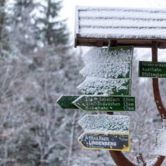 In den Höhenlagen des Thüringer Waldes liegen bis zu 18 Zentimeter Schnee (Archivfoto). Foto: Michael Reichel/dpa