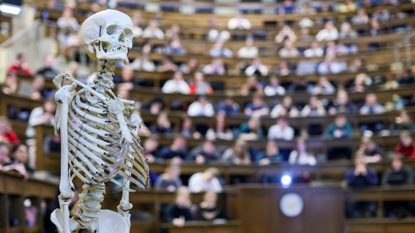 Leipzig ist Sachsens größte Ausbildungsstätte für Mediziner. Foto: Jan Woitas/dpa