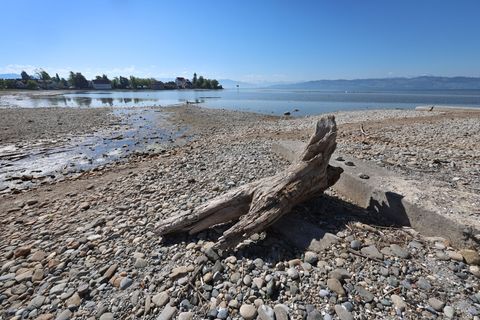 Viele Monate waren in diesem Jahr deutlich zu trocken - mit Folgen etwa auch für den Bodensee. (Archivbild) Foto: Karl-Josef Hil