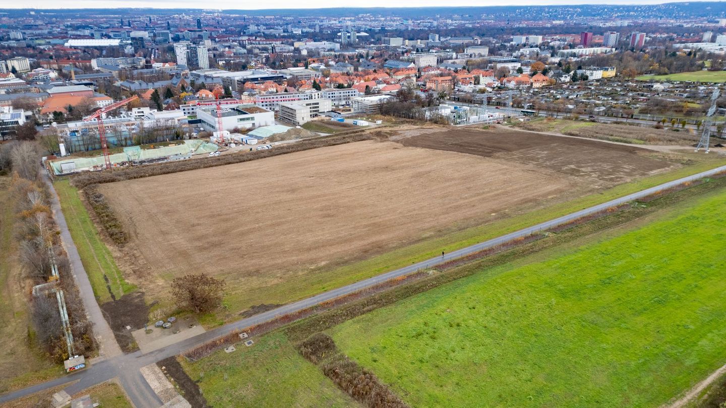 Der Südpark soll das zentrale Ausstellungsgelände der Bundesgartenschau 2033 werden. Foto: Robert Michael/dpa