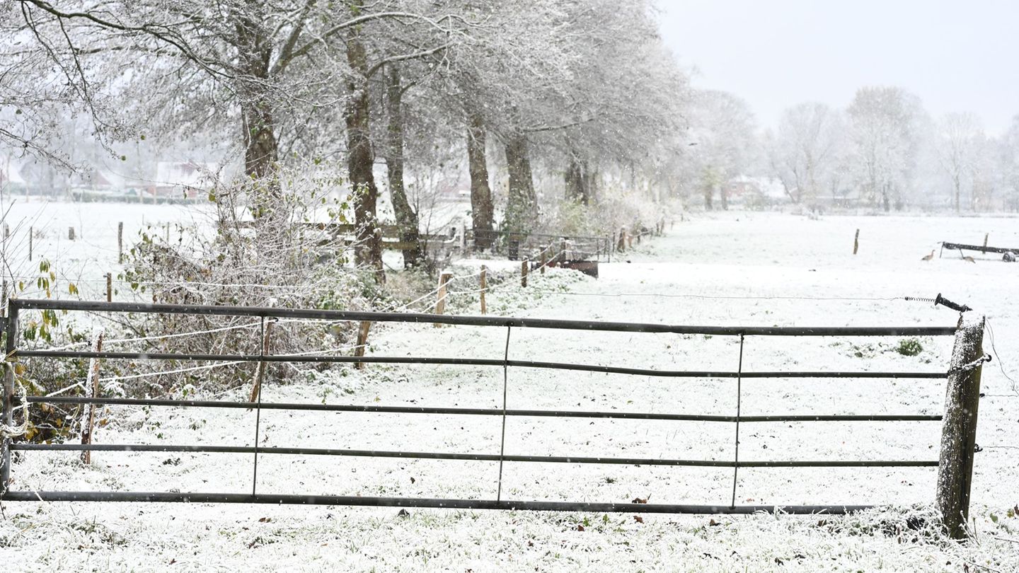 Weiteren Schnee sagt der Deutsche Wetterdienst frühestens am Sonntag vorher. Foto: Lars Penning/dpa