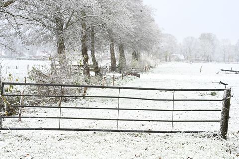 Weiteren Schnee sagt der Deutsche Wetterdienst frühestens am Sonntag vorher. Foto: Lars Penning/dpa