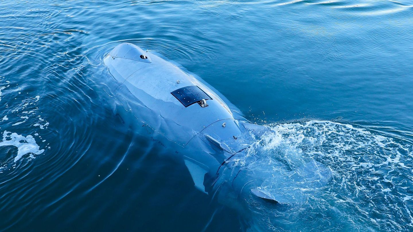 Damp, Deutschland. Ein Roboter-Wal! Das "Autonomous Underwater Vehicle" (AUV) namens "Greyshark" schwimmt im Hafen. Es wird für die Kartierung des Meeresbodens, die Überwachung kritischer Unterwasserinfrastruktur und die Suche von Objekten eingesetzt