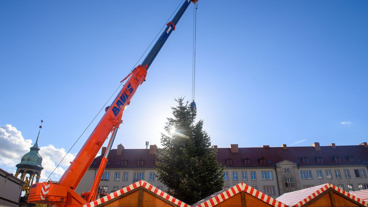 Riesige Kräne heben die prachtvollen Tannen auf die Weihnachtsmärkte in Sachsen-Anhalt. (Archivbild) Foto: Klaus-Dietmar Gabbert
