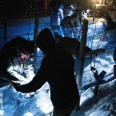 An diesem Wochenende soll im Elbtal wieder Eiswein gelesen werden. (Archivbild) Foto: Sebastian Kahnert/dpa