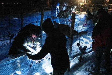 An diesem Wochenende soll im Elbtal wieder Eiswein gelesen werden. (Archivbild) Foto: Sebastian Kahnert/dpa