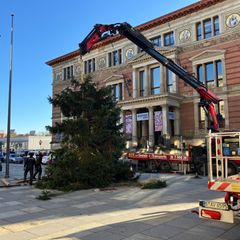 Weihnachtsbaum-Panne in Berlin