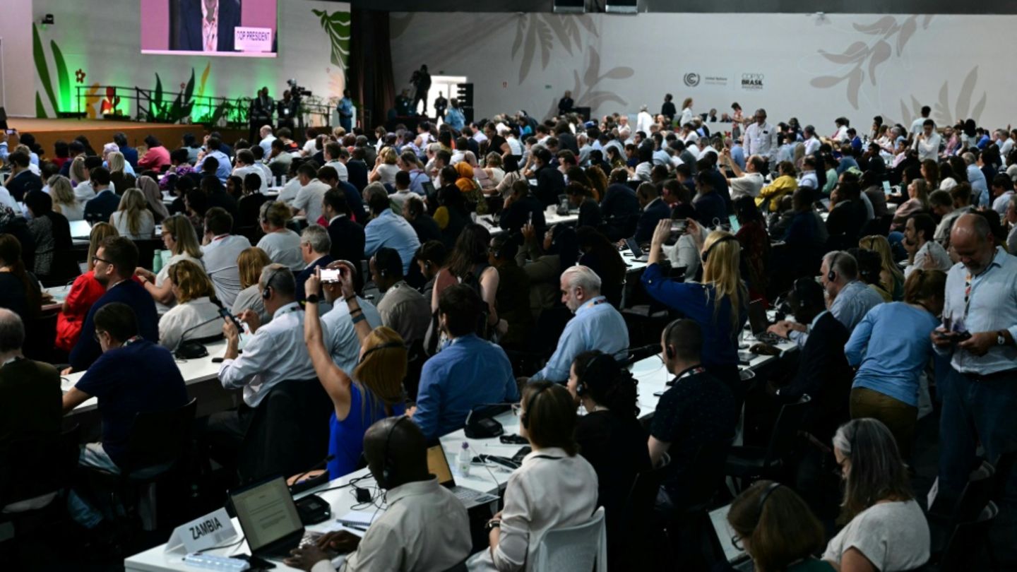 Sitzungsteilnehmer auf der COP30 in Belém