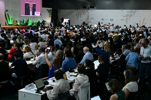 Sitzungsteilnehmer auf der COP30 in Belém