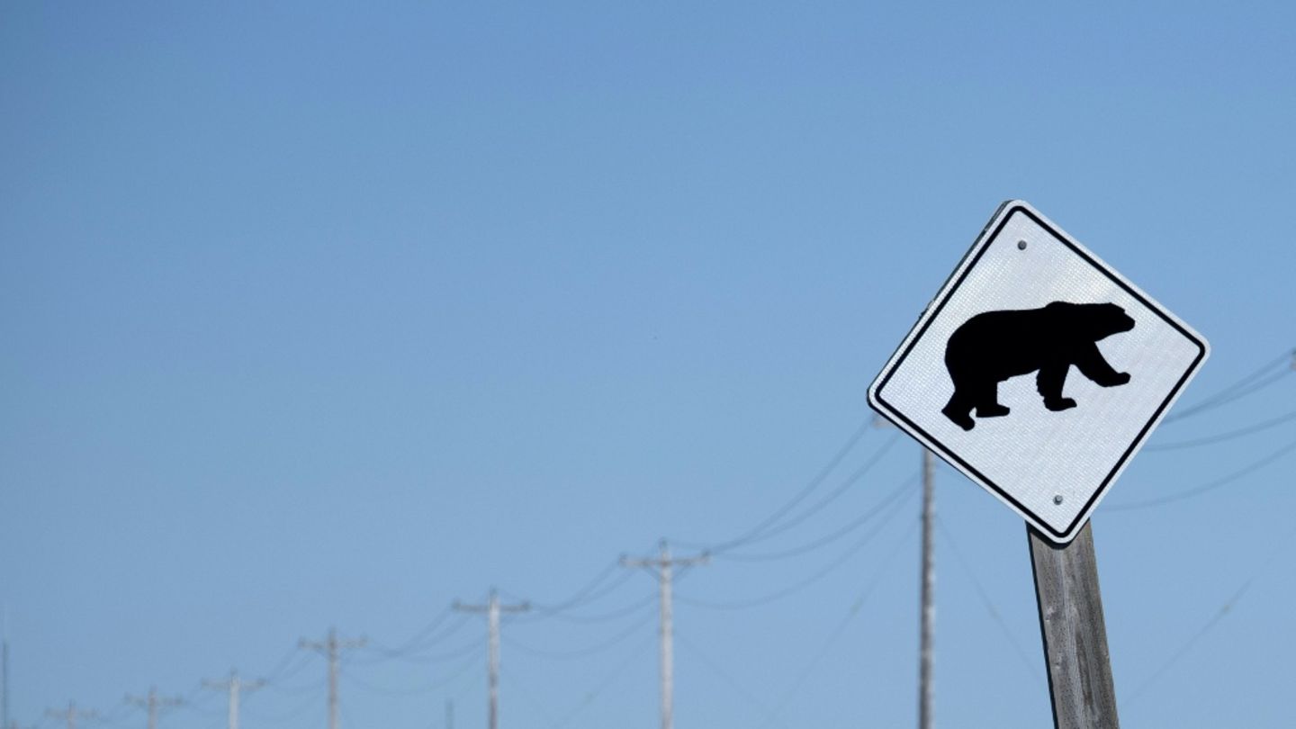 Schild warnt vor Bären
