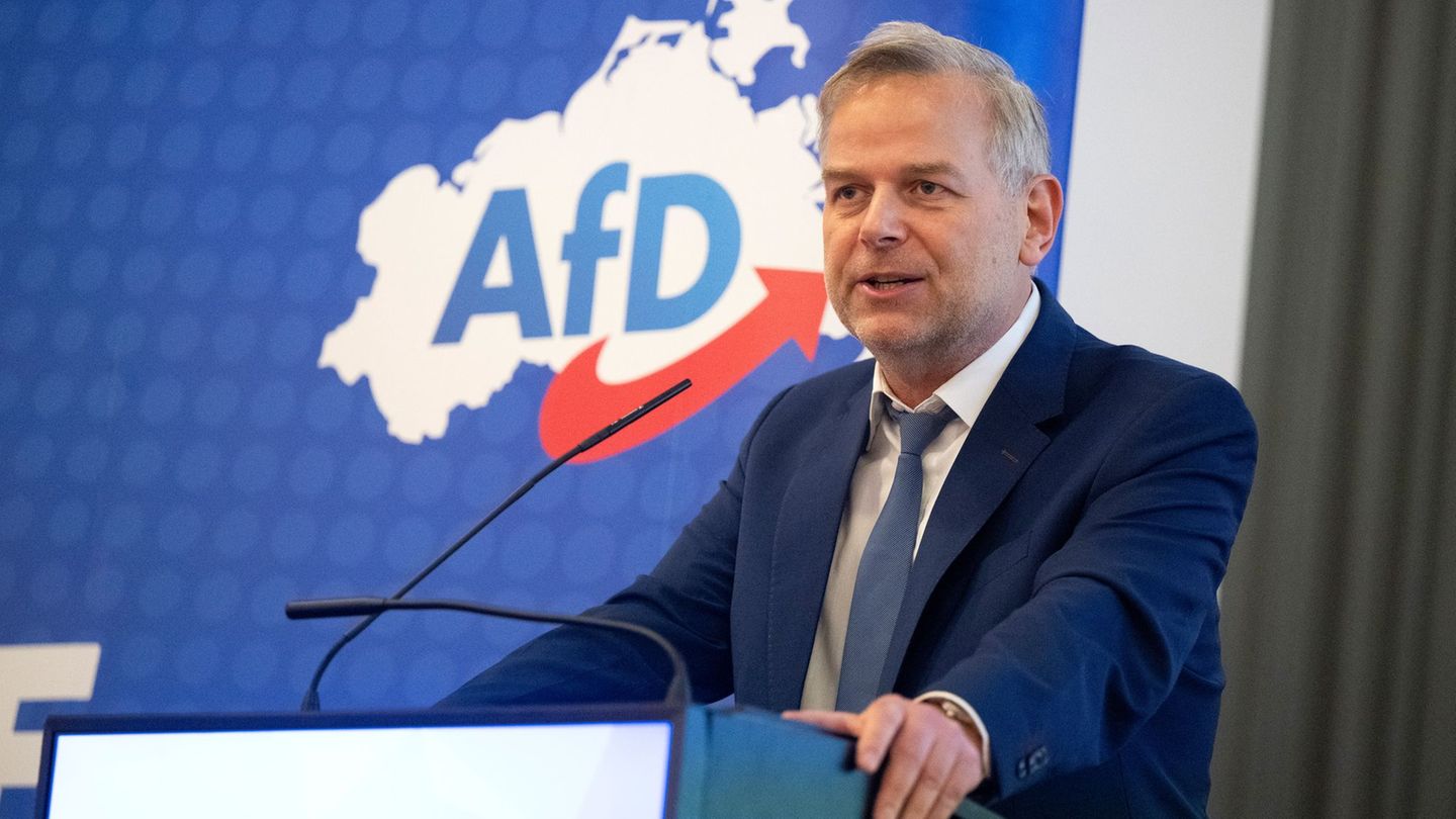 AfD-Mann Leif-Erik Holm will Mecklenburg-Vorpommerns SPD-Ministerpräsidentin Manuela Schwesig bei der kommenden Landtagswahl Dir
